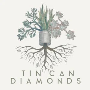 Tin Can Diamonds album artwork